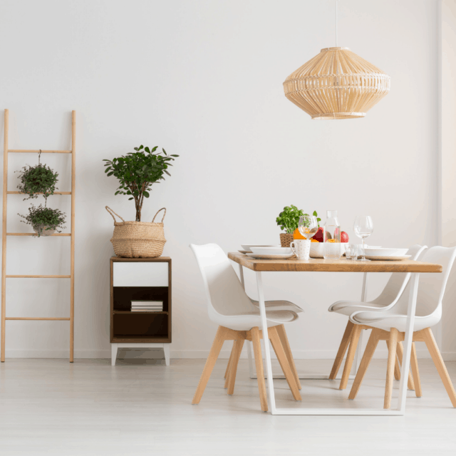 Minimalism and organization categories